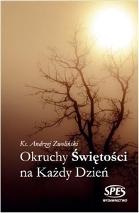 Okruchy Świętości na każdy dzień  