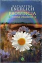 Prowincja pełna złudzeń - Katarzyna Enerlich