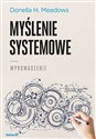 Myślenie systemowe Wprowadzenie polish usa