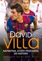 David Villa Napastnik który przeszedł do historii Polish bookstore