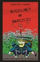 Buszujący w barszczu Kontrkultura w Rosji sto lat po rewolucji  