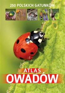 Atlas owadów 250 polskich gatunków 