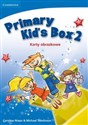 Primary Kid's Box 2 karty obrazkowe polish usa