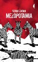 Mezopotamia - Żadan Serhij