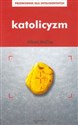 Katolicyzm Przewodnik dla inteligentnych online polish bookstore