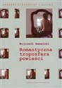 Romantyczna troposfera powieści - Wojciech Hamerski