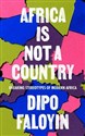 Africa Is Not A Country - Dipo Faloyin