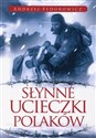 Słynne ucieczki Polaków books in polish