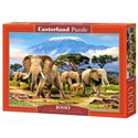 Puzzle Kilimanjaro Morning 1000 - 