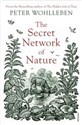 The Secret Network of Nature The Delicate Balance of All Living Things - Peter Wohlleben buy polish books in Usa