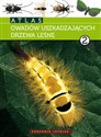 Atlas owadów uszkadzających drzewa leśne t.2 - Andrzej Kolk, Jerzy R. Starzyk