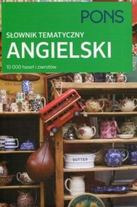 PONS Słownik tematyczny angielski polish books in canada