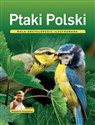 Ptaki Polski Mała encyklopedia ilustrowana - Andrzej G. Kruszewicz