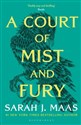 A Court of Mist and Fury  - Sarah J. Maas