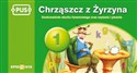 PUS Chrząszcz z Żyrzyna 1 Doskonalenie słuchu fonemowego oraz czytania i pisania - Katarzyna Szura