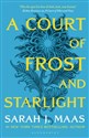 A Court of Frost and Starlight  - Sarah J. Maas
