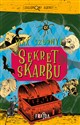 Sekret skarbu - Max Czornyj