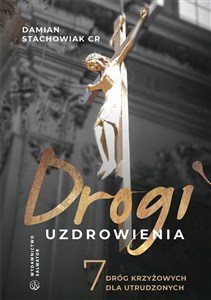 Drogi uzdrowienia  polish usa