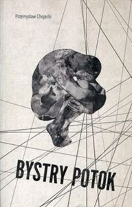 Bystry potok buy polish books in Usa