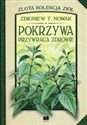 Pokrzywa przywraca zdrowie - Zbigniew T. Nowak