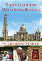 Sanktuarium Matki Bożej Bolesnej w Licheniu Starym pl online bookstore