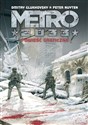 Metro 2033. Powieść graficzna  - Dmitry Glukhovsky, Peter Nuyten