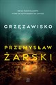 Grzęzawisko - Przemysław Żarski