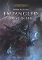 Entangled Destinies, Mitrys Trilogy DualRealm Chronicles online polish bookstore