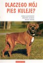 Dlaczego mój pies kuleje to buy in USA