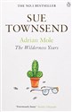 Adrian Mole: The Wilderness Years - Sue Townsend polish usa