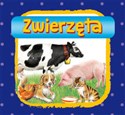 Zwierzęta  - 