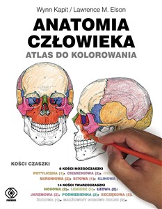 Anatomia człowieka Atlas do kolorowania Canada Bookstore