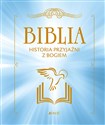 Biblia Historia przyjaźni z Bogiem Bookshop