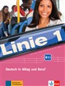 Linie 1 B1.1 Kurs- und Ubungsbuch +DVD  