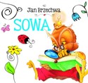Sowa pl online bookstore