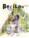 Pelikan Polish bookstore