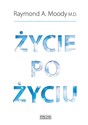 Życie po życiu buy polish books in Usa