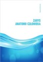 Zarys anatomii człowieka - Małgorzata Bujnowska polish books in canada