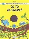 Co to za Smerf? Smerfy komiks  - Tebo