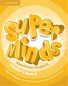 Super Minds American English 5 Teacher's Book buy polish books in Usa