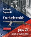 Czechosłowackie grupy SOE i zamach na Heydricha - Polish Bookstore USA