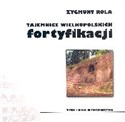 Tajemnice Wielkopolskich fortyfikacji books in polish