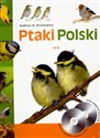 Ptaki Polski tom 2 + CD tom 2 - Andrzej G. Kruszewicz