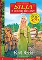 SILJA Z LEŚNEJ DOLINY t.1 Król rzeki - Andersen Yvonne online polish bookstore