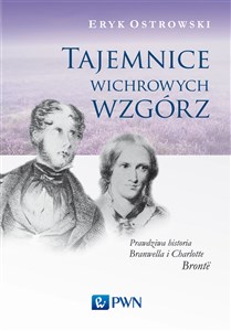 Tajemnice wichrowych wzgórz Prawdziwa historia Branwella i Charlotte Brontë online polish bookstore