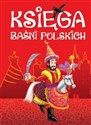 Księga baśni polskich chicago polish bookstore