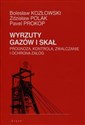 Wyrzuty gazów i skał Prognoza, kontrola, zwalczanie i ochrona załóg - Polish Bookstore USA