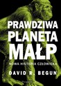 Prawdziwa planeta małp Nowa historia człowieka - David R. Begun