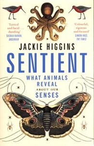 Sentient What Animals Reveal About Our Senses buy polish books in Usa