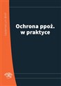 Ochrona ppoż. w praktyce - Opracowanie Zbiorowe